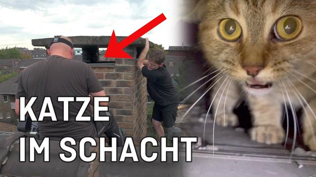 Bonn: Katze in Schacht gestürzt, Feuerwehr kann nicht helfen - Tiernotruf #361