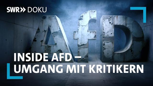 Drohungen und Anzeigen: Wie die AfD ihre Kritiker bekämpft | SWR Doku