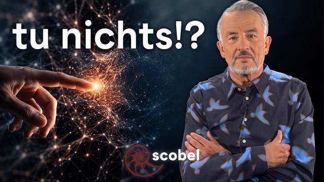 Die Illusion der Kontrolle: Warum Nicht-Handeln klüger sein kann – scobel