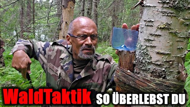 Taktik im Wald: So überlebst du !!!