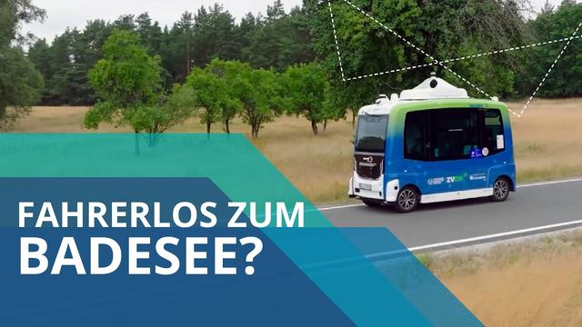 Hochautomatisiert zum Baden am Bärwalder See 🚌 | Kurze Frage zum WALEMO-Bus in der Lausitz