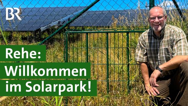 Hohe Zäune um Solarparks: Das bringt ein Wilddurchschlupf für Rehe | Unser Land