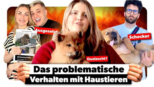 Das verwerfliche Verhalten großer Influencer mit deren Haustieren