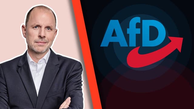Kommt jetzt das AfD Verbot?