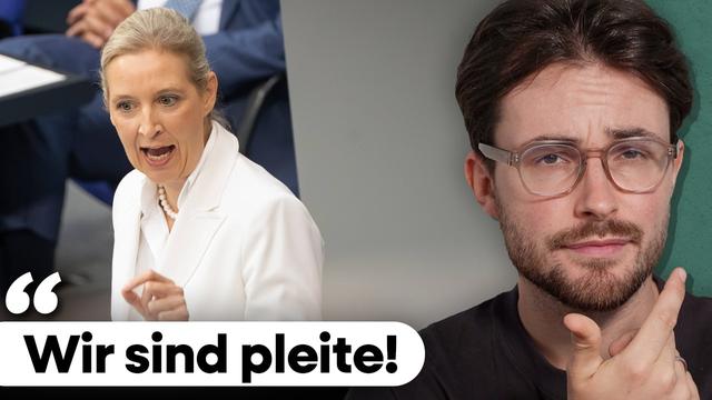 Alice Weidel DEBUNKED