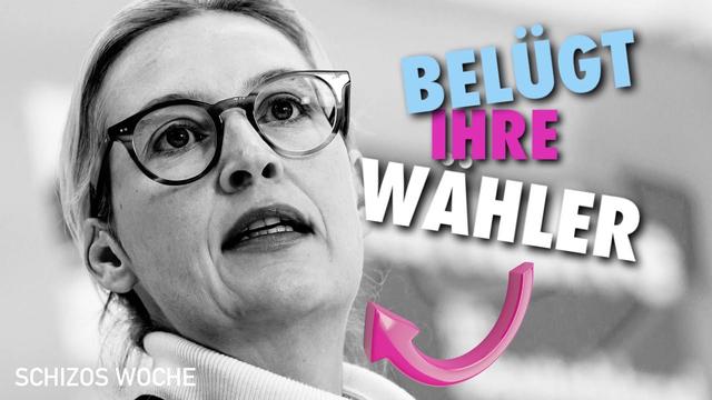 Wie die AfD ihre Wähler verarscht - Thema Öl, Gas ￼und Strom 