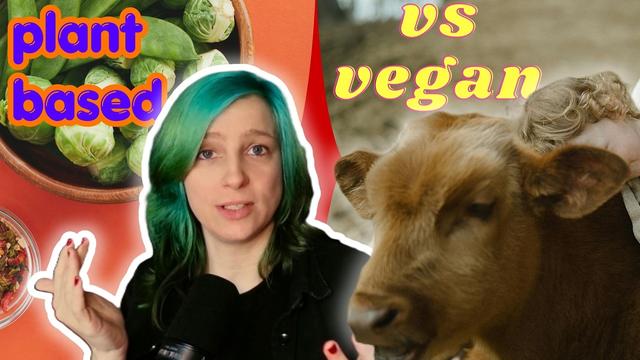Warum "vegane Ernährung" nur ein Mythos ist und warum plant based etwas anderes ist