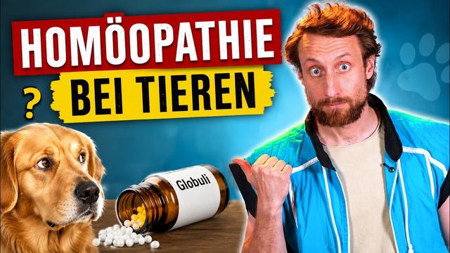 Aber meinem Hund hat Homöopathie geholfen!!