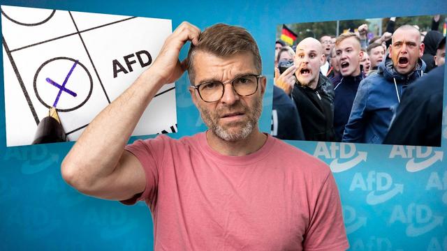 Ist JEDER AfD-Wähler automatisch RECHTS?