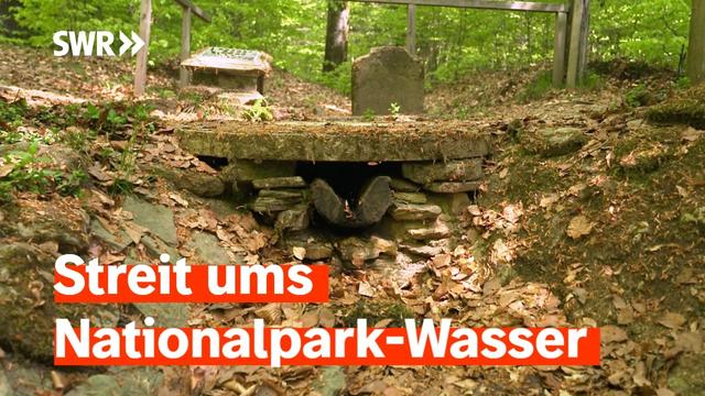 Behörde stoppt Abpumpen – Sprudelfirmen klagen | Zur Sache! Rheinland-Pfalz