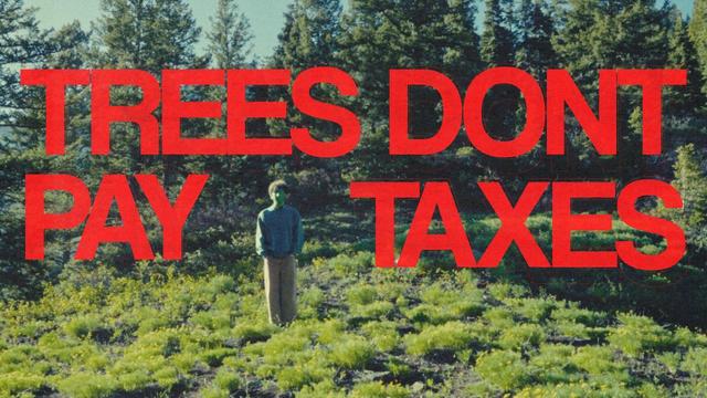 Tree's Don't Pay Taxes