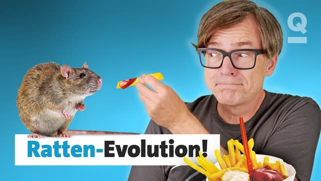 Wie wir ganz nebenbei die Gene von Ratten und anderen Tieren verändern | Quarks Dimension Ralph