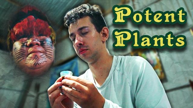 The Ayahuasca You Know is a Lie