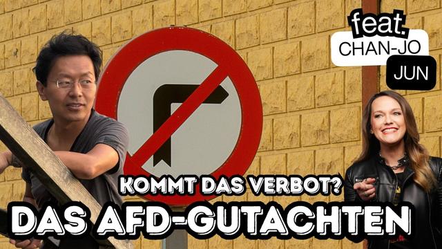Was an dem AfD-Gutachten überraschend ist #Anwalts-Talk