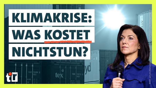 Wie teuer wird die Klimakrise? | Doku