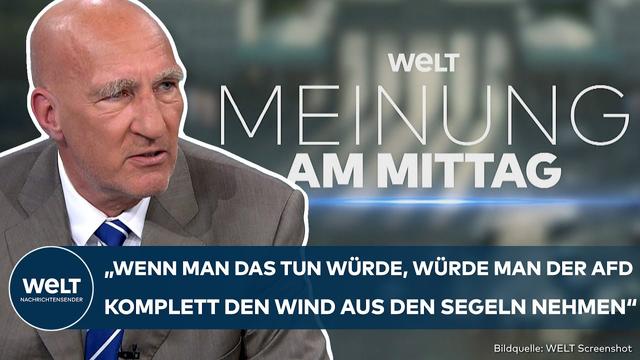 NEUE MERZ-REGIERUNG: Wie kann die politische Mitte die AfD schwächen? | MEINUNG