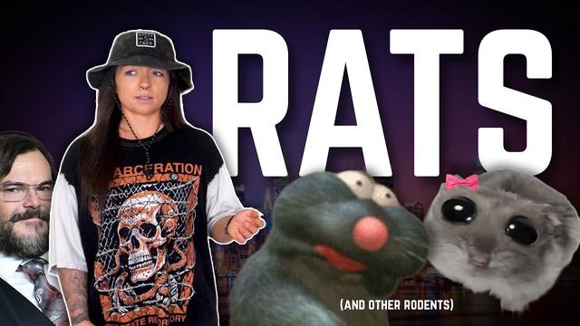 The History of Rats (That We Know Of) | Lindsay Nikole