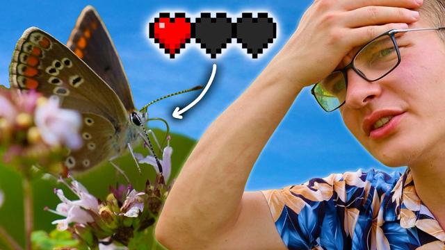 40 Grad! Wer hat überlebt? I Blütenrundgang