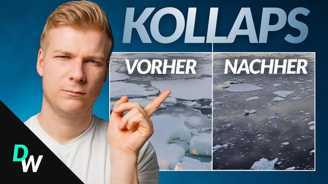 Das hätte nicht passieren dürfen