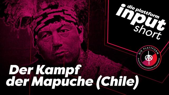 Solidarität mit den Mapuche! (Input Short) | Die Plattform