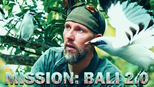 Der Balistar - Rettung einer ganzen Art | MISSION BALI 2.0