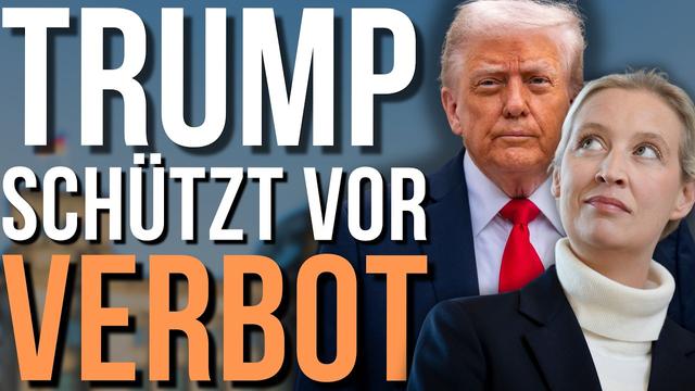 Verplappert! Trump schützt die AfD vor Verbotsverfahren?!