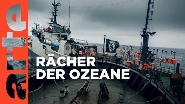 Sea Shepherd - Verfolgungsjagd auf hoher See | Doku HD Reupload | ARTE