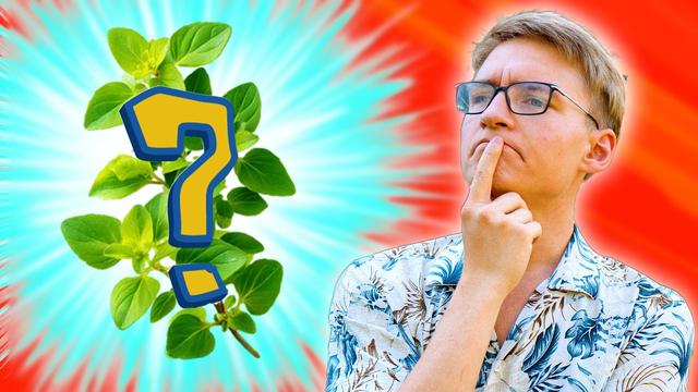 5 absolute Insektenmagneten für deinen Garten!