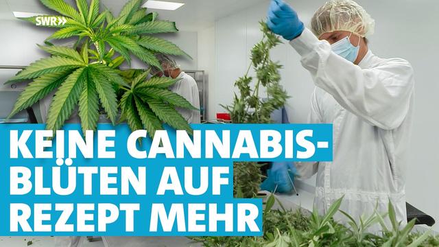 Cannabis als Schmerzmittel: Gesetz stoppt Blüten auf Rezept
