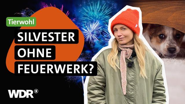 Drohnen statt Böller? Warum Alternativen sinnvoll sein können | neuneinhalb | WDR