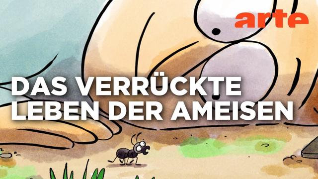 Ameisen für die Forschung? | Wer nicht fragt, stirbt dumm | ARTE
