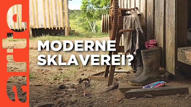 Kein Arbeitsvertrag, kein fairer Lohn | ARTE Journal
