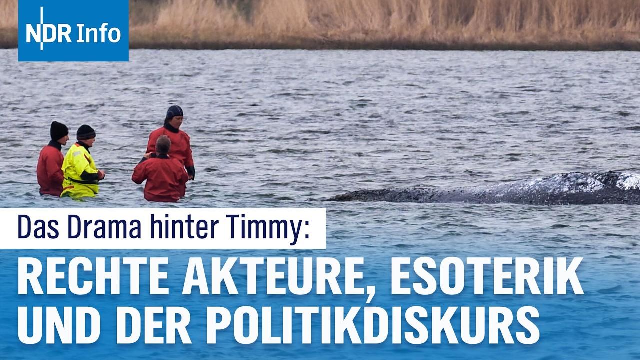 Wal Timmy in der Ostsee: Zwischen Telepathie und Fischbrötchen | Überland I NDR Info