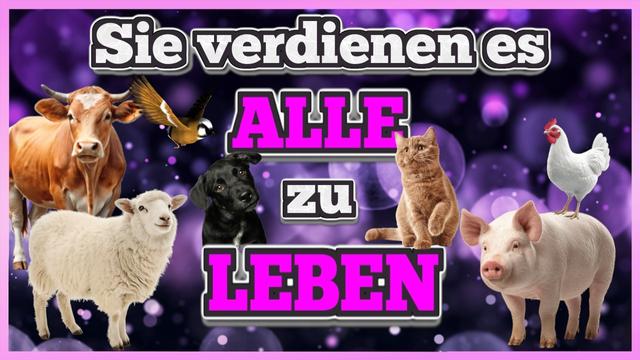 Schau dieses Video wenn du Tiere liebst