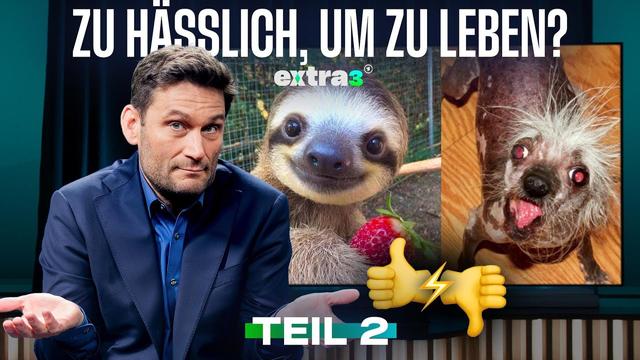 Artenschutz: Wer nicht süß ist, stirbt aus | Legales Weed, hohe Hürden | extra 3 vom 19.02.2026 · Te