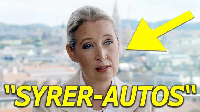 Das echte Sommerinterview mit Alice Weidel (AfD) #youtubekacke #comedy #satire