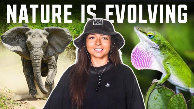 Newest Level Ups in the Animal Kingdom | Lindsay Nikole