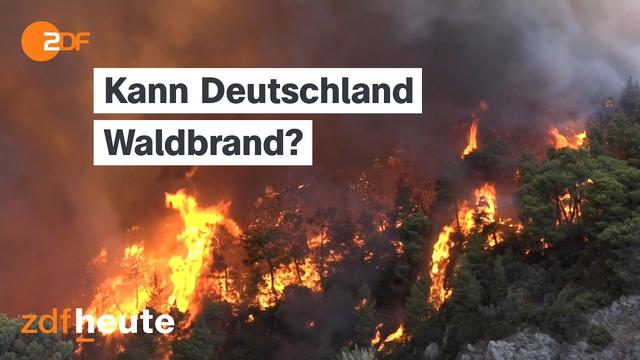 Waldbrand-Gefahr: Wie gut sind wir vorbereitet? | Länderspiegel