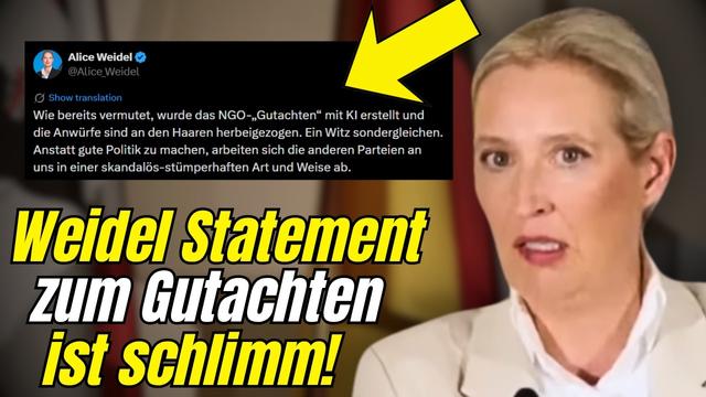 Weidel BLAMIERT Sich Mit Peinlichem KI Statement Zum GFF Gutachten!