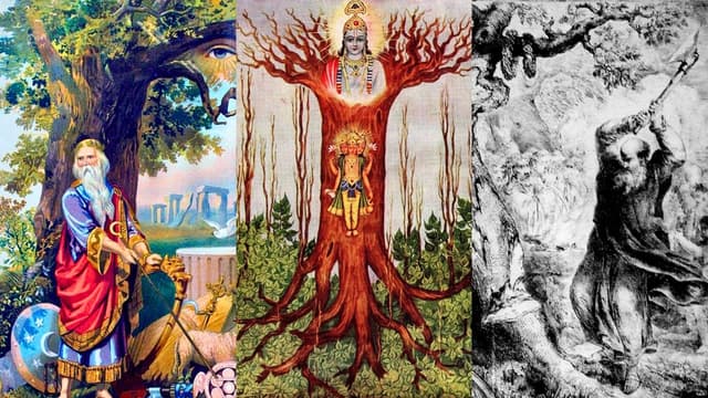Die Zerstörung der heiligen Wälder: Wie unsere Vorfahren von der Astralwelt getrennt wurden