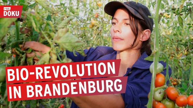 Marias Garten: Warum alle ihr Gemüse wollen | Doku