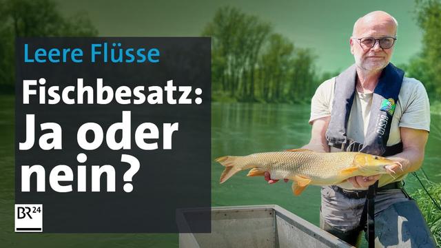 Künstlicher Fischbesatz: Retten wir so unsere Flüsse? | Die Story | Kontrovers | BR24
