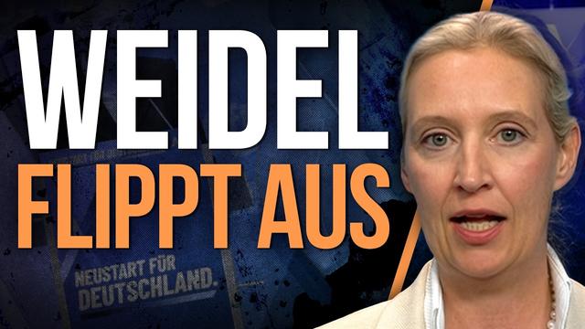 Weidel ohne Antworten: Dunja Hayali zerlegt die AfD-Chefin