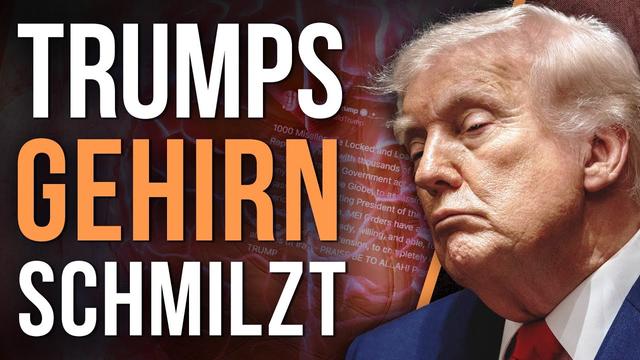 Krass! Donald ist inzwischen komplett am Ende...