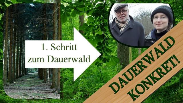 Auslesedurchforstung - Die Initialphase der Dauerwaldüberführung | Dauerwald Konkret!
