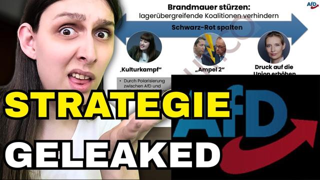 AFD legt PLAN gegen DEMOKRATIE offen | callmechrissi