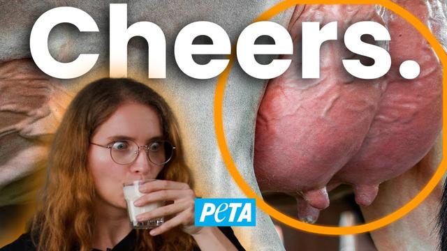 Was dir NIEMAND über MILCH erzählt