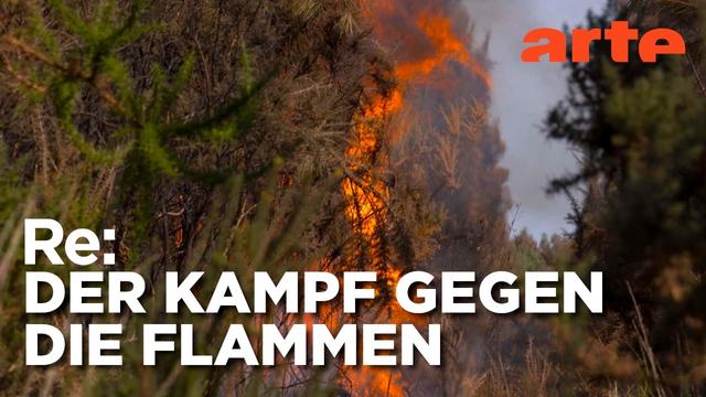 Megafeuer in Frankreich | ARTE Re: