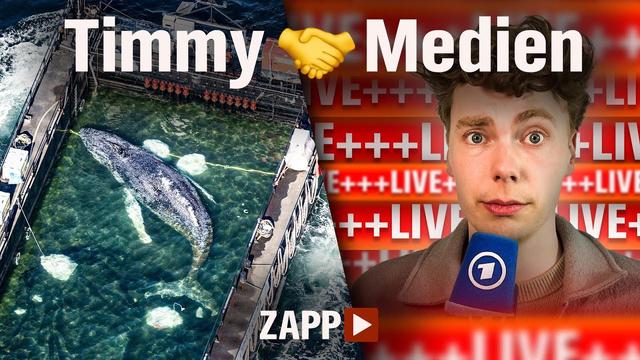 Free Timmy! Als Reporter im Wal-Wahnsinn | ZAPP | NDR
