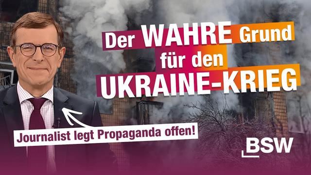 Reaction: Die PROPAGANDA fliegt auf! Darum darf der UKRAINE-KRIEG nicht enden!